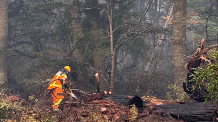 Reclamo por falta de accion de la Justicia en los incendios forestales en TDF